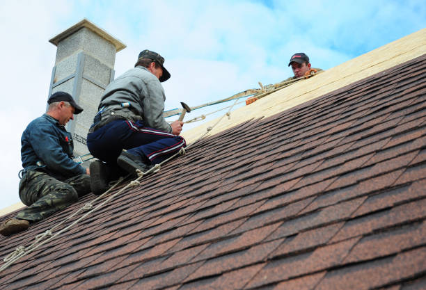 Best Roof Gutter Cleaning  in Harrison, NY
